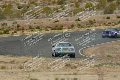 media/May-03-2025-Lucky Dog Racing (Sat) [[206de64b9d]]/Turn 2 (1020am-1120am)/